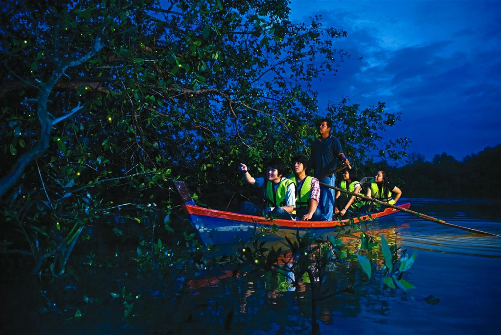 Places to see FireFlies in Malaysia, which is Kuala Selangor, Selangor